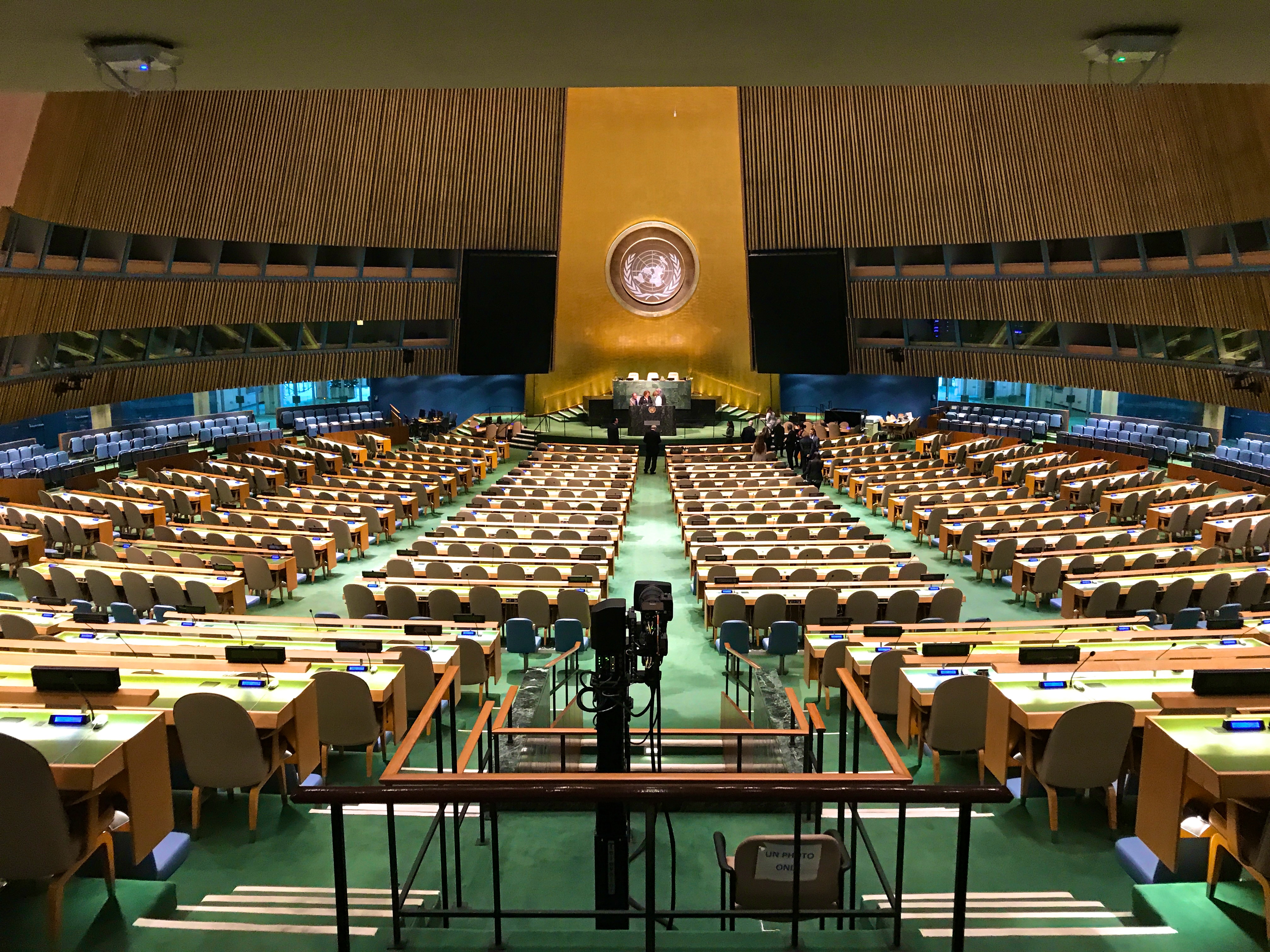 United Nations General Assembly Three Hundred Days