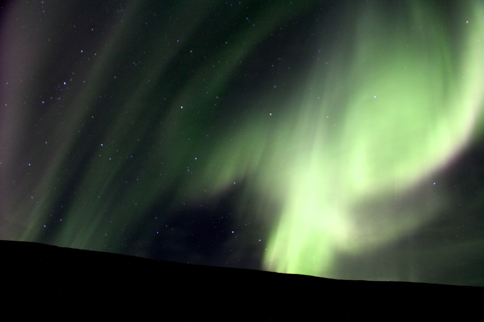 Aurora Borealis, Northern Lights, Akureyri, Iceland