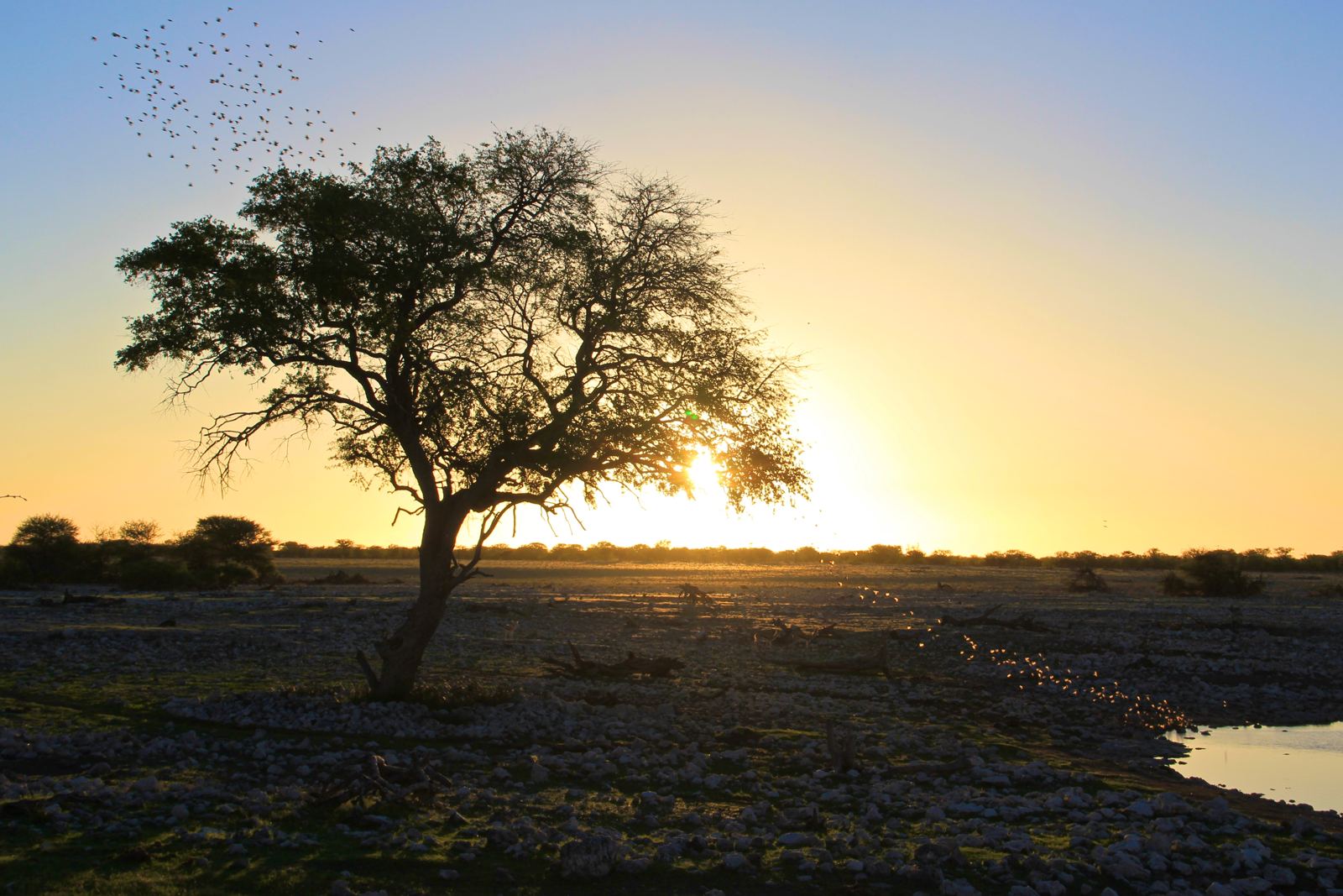 Sunset in Etosha NP