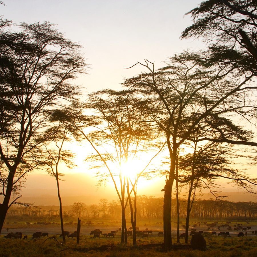 Sunset at Lake Nakuru