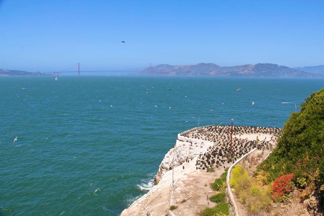 2. San Fran 446