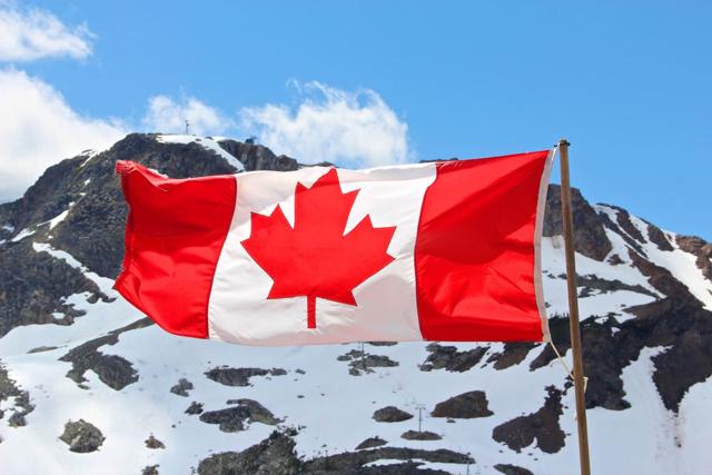 6. Whistler 503