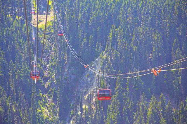 6. Whistler 514