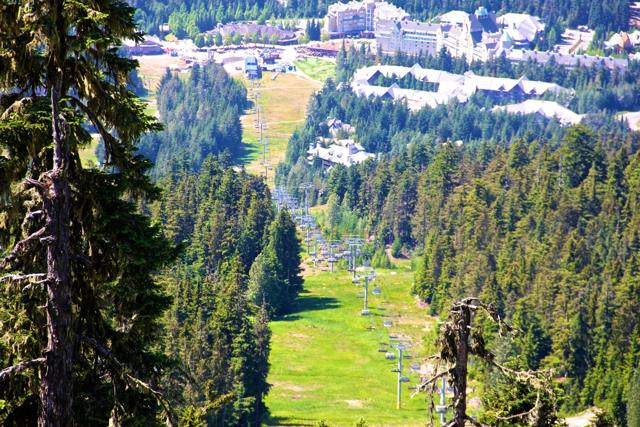 6. Whistler 516