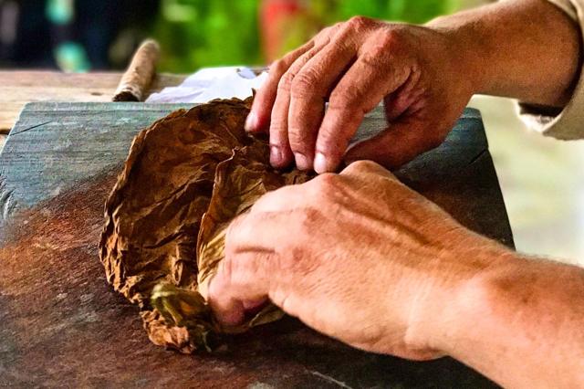 Farmer rolling cigar in Vinales